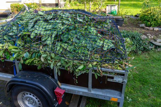 Best Electronics and E-Waste Disposal  in Hughesville, MD